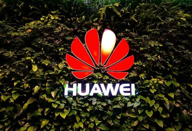 持续变革：组织延缓衰老的生存之道
